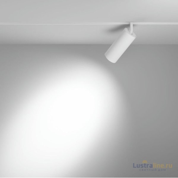 Трековый магнитный светильник Maytoni Focus LED TR032-4-20WTW-M-DSZ-W