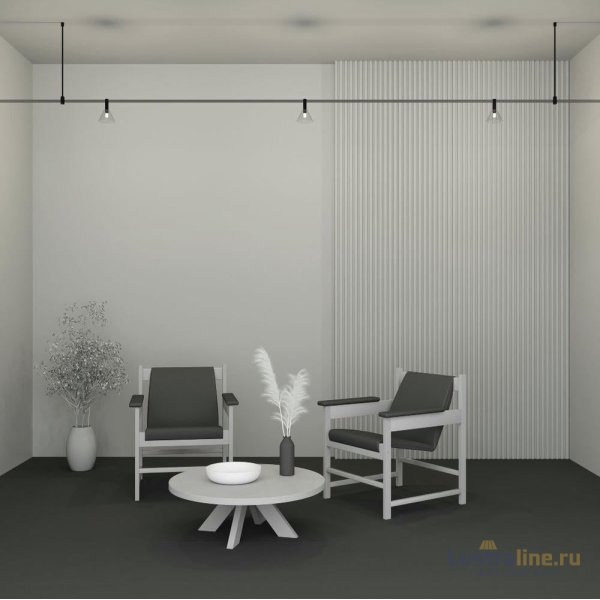 Трековый магнитный светильник Maytoni Biancа TR206-1-3W3K-B