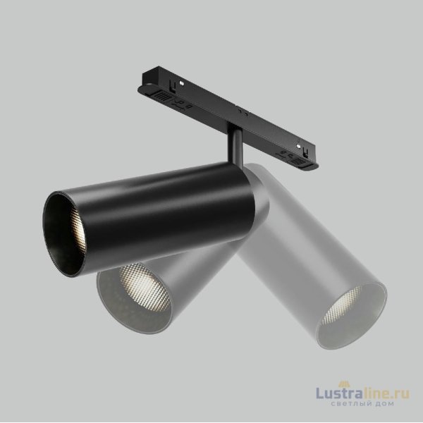 Трековый магнитный светильник Maytoni Focus Led TR032-2-20W2.7K-M-B