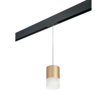 Трековый однофазный светильник Lightstar Rullo (213490+595887+202481) PRORP349081