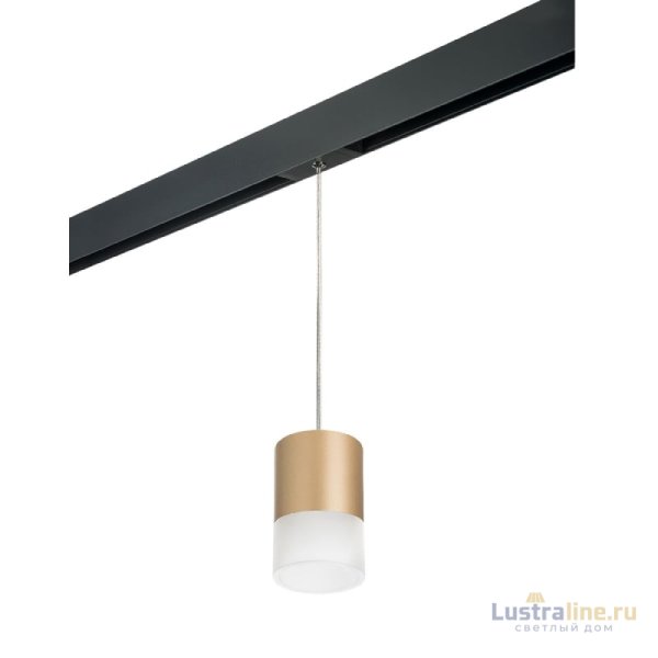 Трековый однофазный светильник Lightstar Rullo (213490+595887+202481) PRORP349081