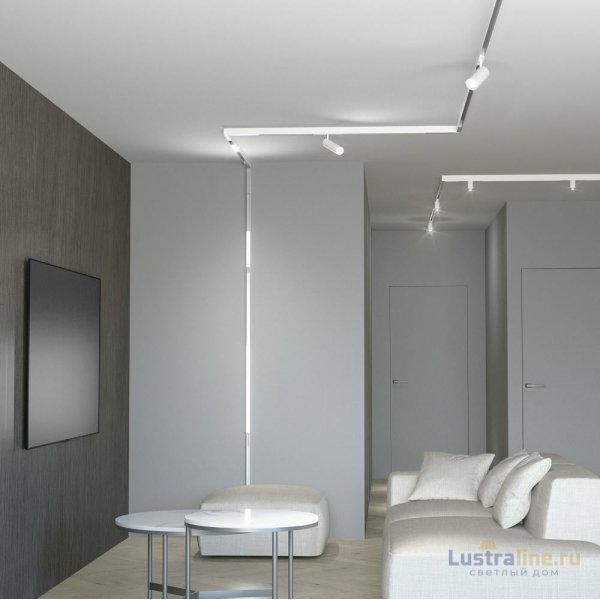 Трековый светильник Elektrostandard Slim Magnetic 85506/01 4690389189203 a061299