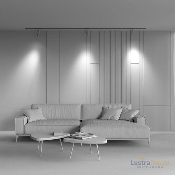 Трековый магнитный светильник Maytoni Elti TR005-4-12W-DS-BW