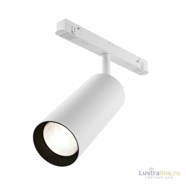Трековый магнитный светильник Maytoni Focus LED TR032-2-20W4K-S-W