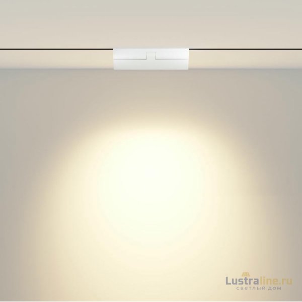 Трековый магнитный светильник Maytoni Points rot TR033-4-12WTW-M-DSZ-W