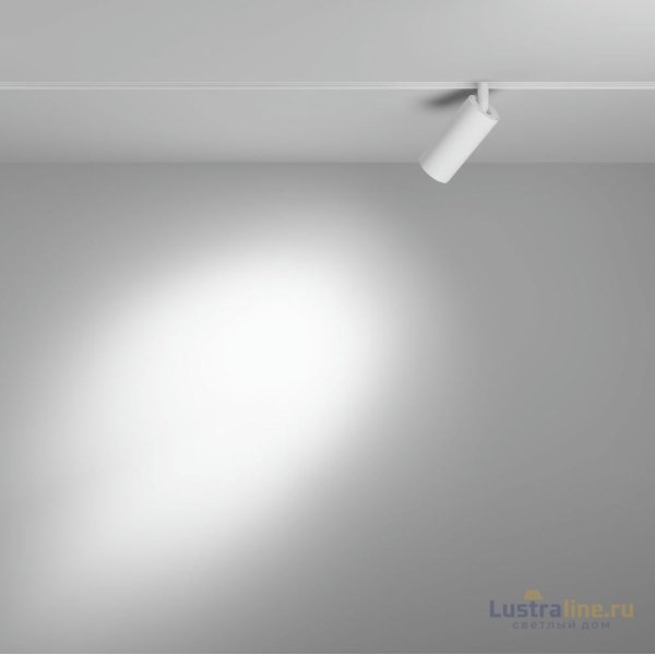 Трековый магнитный светильник Maytoni Focus LED TR032-4-5W3K-S-DS-W Трековый магнитный светильник Maytoni Focus LED TR032-4-5W3K-S-DS-W