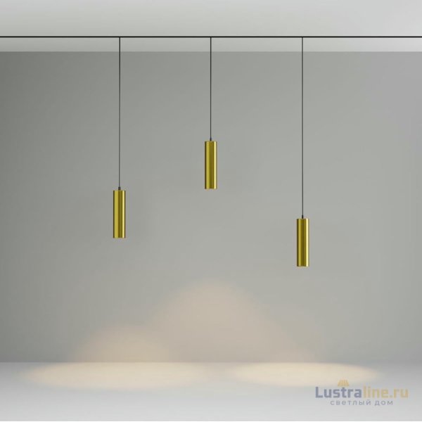 Трековый магнитный светильник Maytoni Focus Led TR041-2-12W3K-BBS