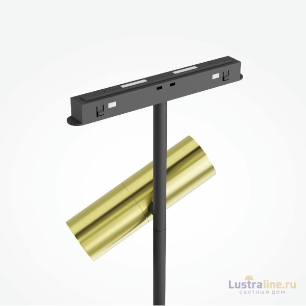 Трековый магнитный светильник Maytoni Elti Duo TR005-4-2X12W-DS-BBS