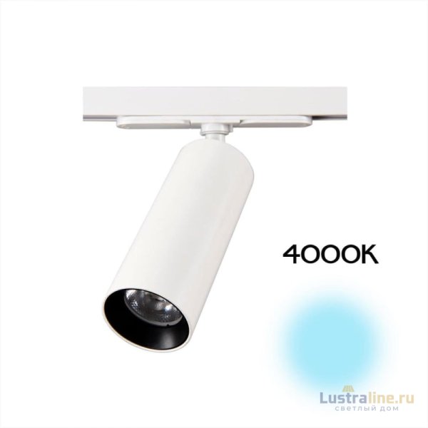 Трековый светильник Citilux Тубус CL01T120N