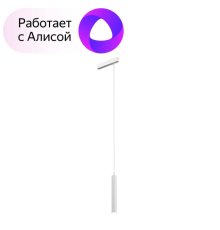 Трековый светильник Denkirs Smart DK8008-WH