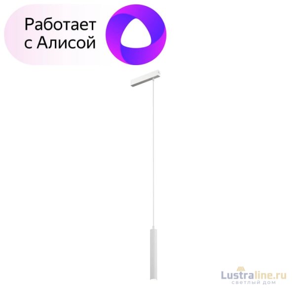 Трековый светильник Denkirs Smart DK8008-WH Трековый светильник Denkirs Smart DK8008-WH