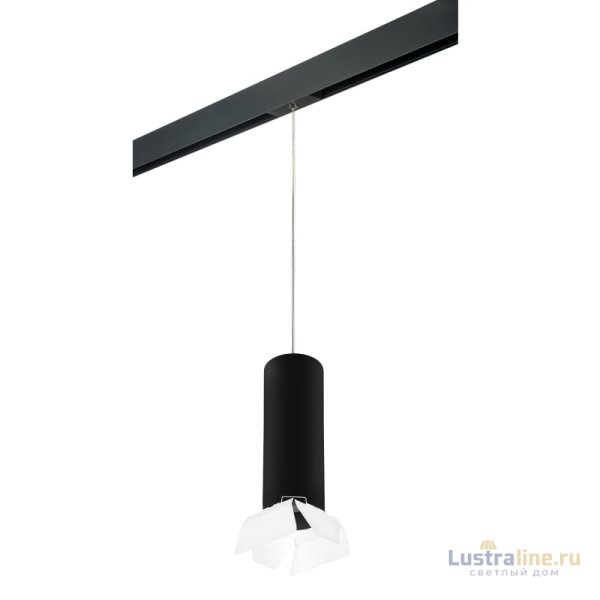 Трековый светильник Lightstar Rullo PRORP6497486 (216497+595887+202486) Трековый светильник Lightstar Rullo PRORP6497486 (216497+595887+202486)