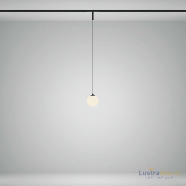 Трековый магнитный светильник Maytoni Luna TR178-1-5WTW-B