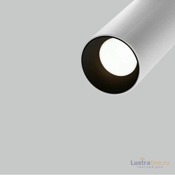 Трековый магнитный светильник Maytoni Focus LED TR032-2-5W4K-S-W