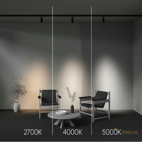 Трековый трехфазный светильник Maytoni Focus Led TR197-3-20WCCT-M-B Трековый трехфазный светильник Maytoni Focus Led TR197-3-20WCCT-M-B