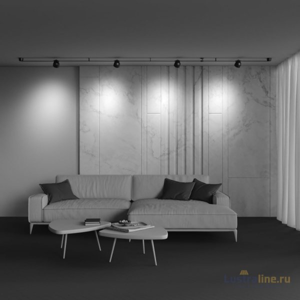 Трековый светильник Maytoni Cup TR124B-12W4K-M-B