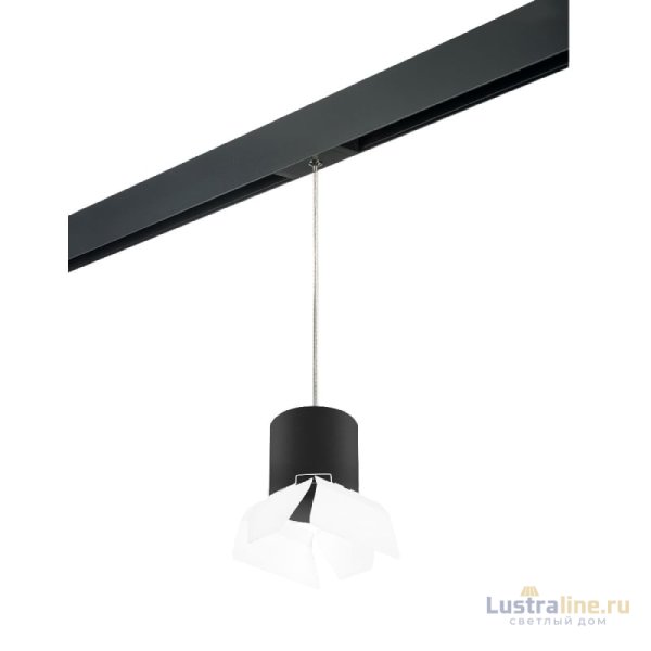 Трековый однофазный светильник Lightstar Rullo (213487+595887+202486) PRORP3487486