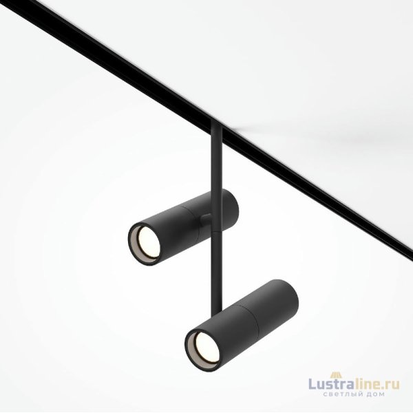 Трековый магнитный светильник Maytoni Elti Duo TR005-4-2X12W-DS-B