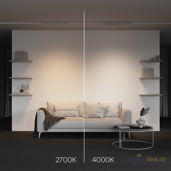 Трековый трехфазный светильник Maytoni Basis TR196-3-20W2.7K-W Трековый трехфазный светильник Maytoni Basis TR196-3-20W2.7K-W