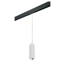 Трековый светильник Lightstar Rullo PRORP6396 (216396+595957)