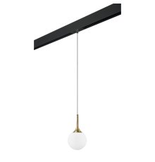 Трековый светильник Lightstar Globo PRO813012 (813012+595007)
