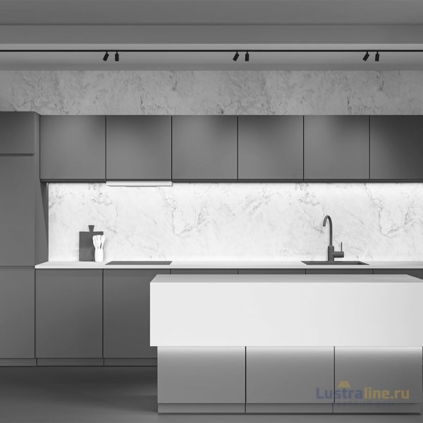 Трековый магнитный светильник Maytoni Focus Duo TR176-1-2X5WTW-M-B