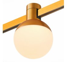 Трековый магнитный светильник ST Luce Farm ST815.206.05