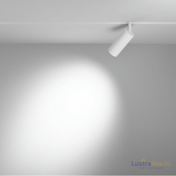 Трековый магнитный светильник Maytoni Focus LED TR032-2-12W4K-S-W