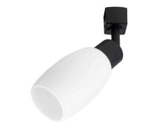 Светильник на шине ARTE Lamp A3055PL-1BK