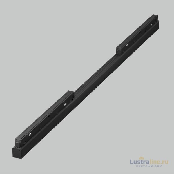 Трековый магнитный светильник Maytoni Basis TR030-2-30W2.7K-B