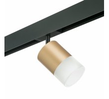 Трековый однофазный светильник Lightstar Rullo (213490+595087+202481) PRO349081