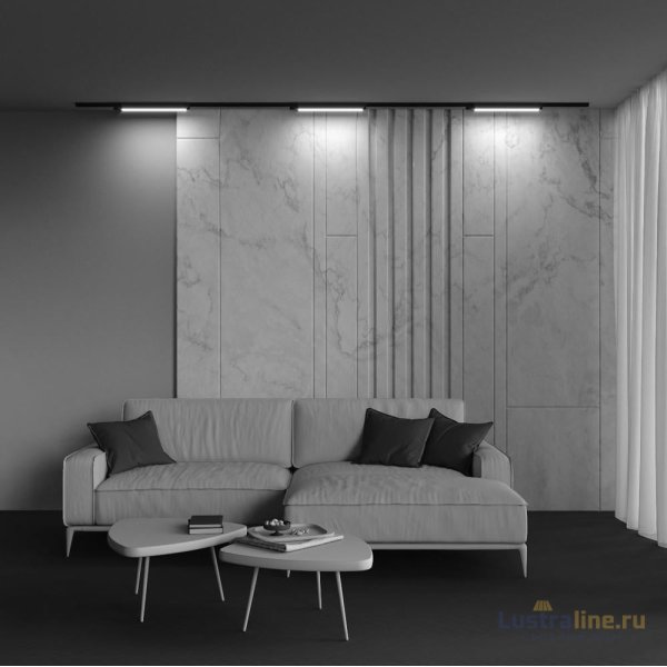 Трековый светильник Maytoni Basis TR000-1-24W3K-B