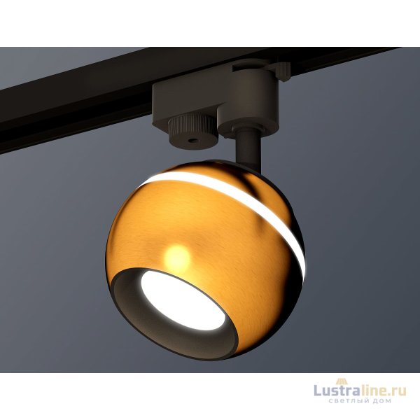Трековый однофазный светильник Ambrella Light Track System XT1105001 (A2521, C1105, N7021)