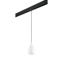 Трековый светильник Lightstar Pentola PRO803030 (803030+595007)