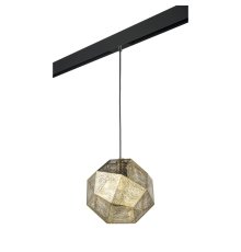 Трековый светильник Lightstar Fermo PRO724112 (724112+595007)