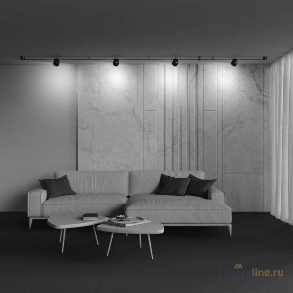 Трековый светильник Maytoni Cup TR124B-12W4K-B