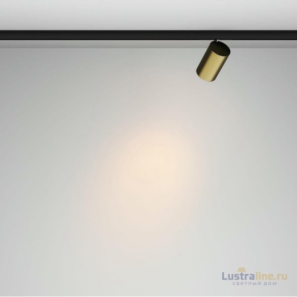 Трековый магнитный светильник Maytoni Focus Led TR187-1-5W2.7K-M-BBS
