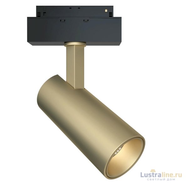 Трековый светильник Maytoni Focus LED TR019-2-15W3K-MG