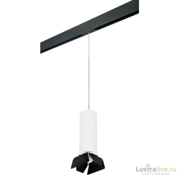 Трековый светильник Lightstar Rullo PRORP6496487 (216496+595887+202487) Трековый светильник Lightstar Rullo PRORP6496487 (216496+595887+202487)