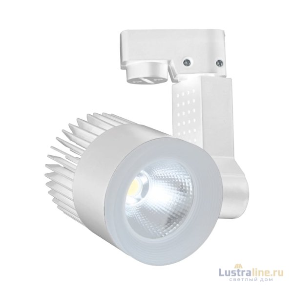 Трековый светодиодный светильник Escada 20030TRA/02LED SWH