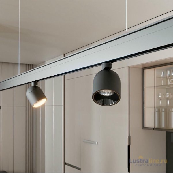 Трековый магнитный светильник Elektrostandard Slim Magnetic 4690389202018 85109/01 a065258 Трековый магнитный светильник Elektrostandard Slim Magnetic 4690389202018 85109/01 a065258