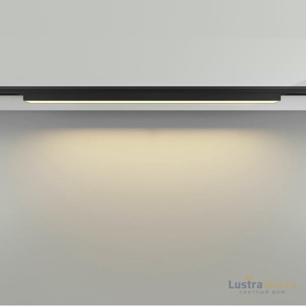 Трековый магнитный светильник Maytoni Basis TR192-1-16W2.7K-B