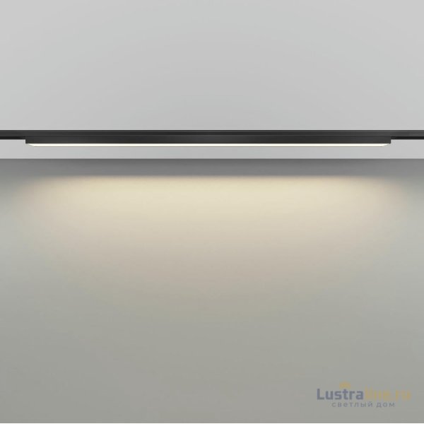 Трековый магнитный светильник Maytoni Basis TR192-1-21W3K-B