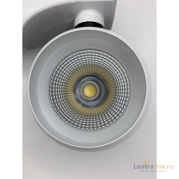 Трековый двухфазный светильник Elvan ST-PJ-021-20-NH