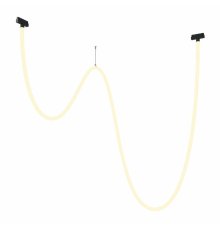 Трековый подвесной светильник Maytoni Tau TR101-2-100W3K-B