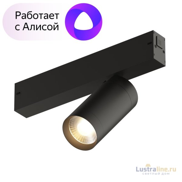 Трековый светильник Denkirs DK8010-BK Трековый светильник Denkirs DK8010-BK