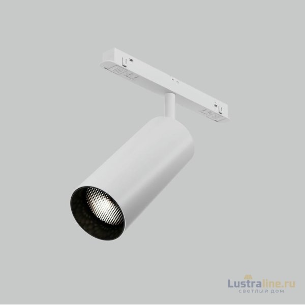 Трековый магнитный светильник Maytoni Focus LED TR032-4-20WTW-M-DSZ-W