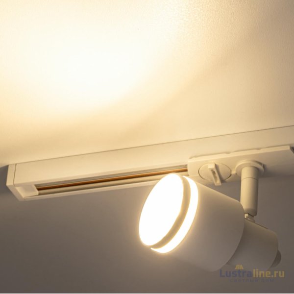 Трековый однофазный светильник Citilux Bruno CL565T10