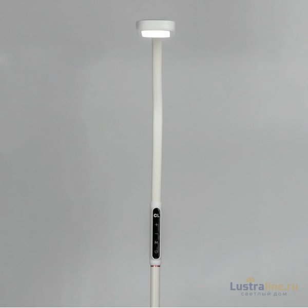 Торшер Citilux CL804020