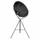 Торшер Loft IT Studio 10301/L